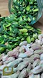 مغز پسته سبز دو پوست سپیدان ( green pistachio nuts).