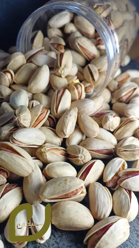 پسته دستچین اکبری خام سپیدان/long pistachio raw /akbri pistahchio