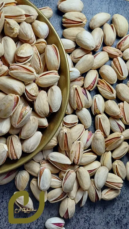 پسته دستچین اکبری خام سپیدان/long pistachio raw /akbri pistahchio