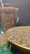 دانه چیا (Chia seed)