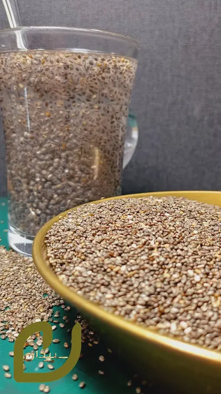 دانه چیا (Chia seed)