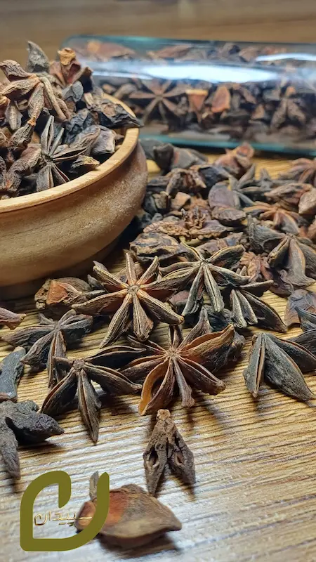 بادیان ستاره ای
