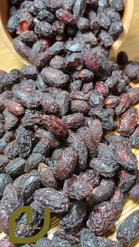 زغال اخته سپیدان
