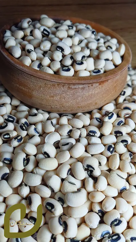 لوبیا چشم بلبلی 