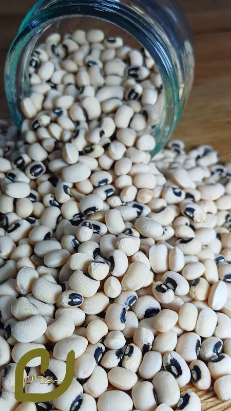 لوبیا چشم بلبلی 