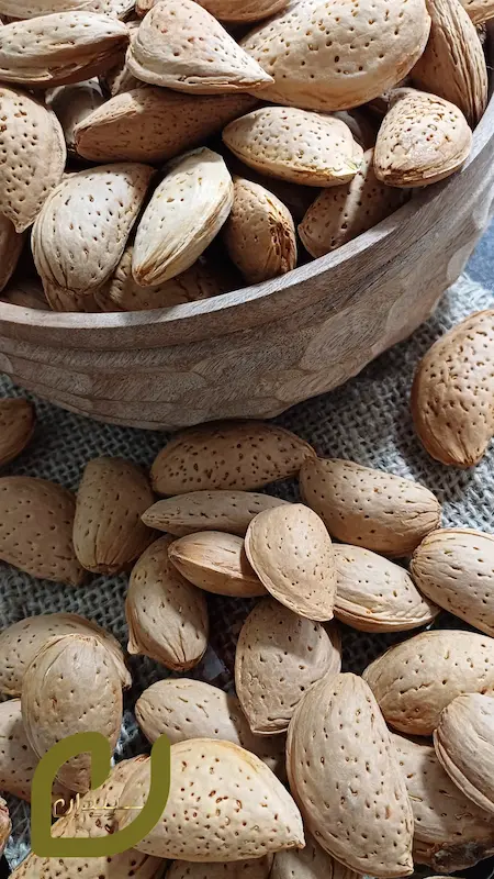 بادام سنگی/ Stone Almond
