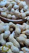 بادام زمینی غلاف دار/بادام زمینی آستانه 