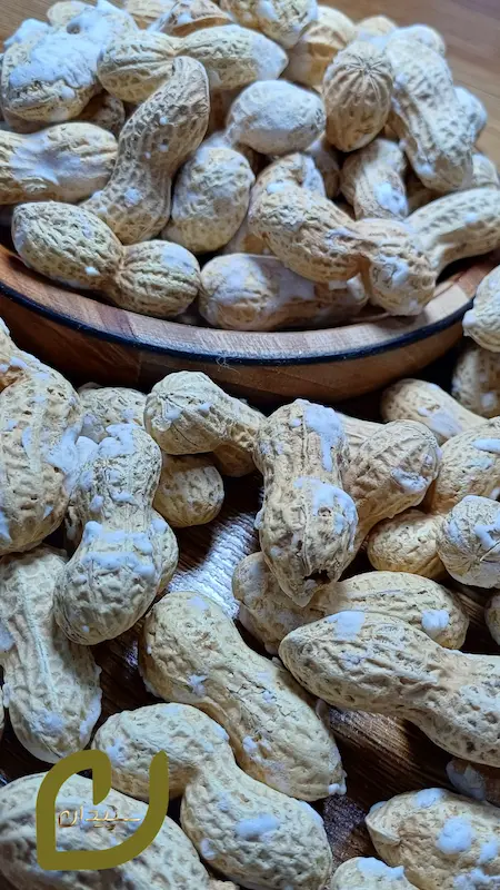 بادام زمینی غلاف دار/بادام زمینی آستانه 