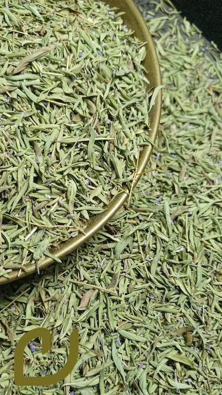 آلاله سپیدان 
