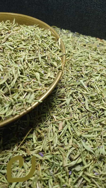 آلاله سپیدان 