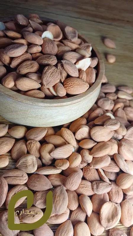 مغز هسته زردآلو برشته