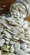 تخمه کدو مرمری برشته سپیدان /Roasted Marbled Pumpkin Seeds