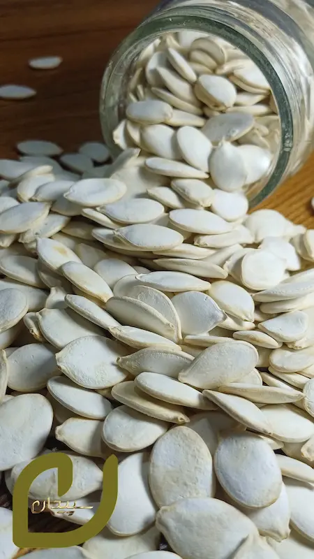 تخمه کدو مرمری برشته سپیدان /Roasted Marbled Pumpkin Seeds