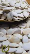 تخمه کدو مرمری برشته سپیدان /Roasted Marbled Pumpkin Seeds