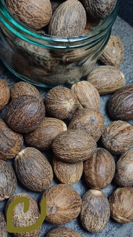 جوز هندی سپیدان