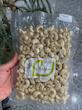 بادام هندی خام/Raw cashew nuts
