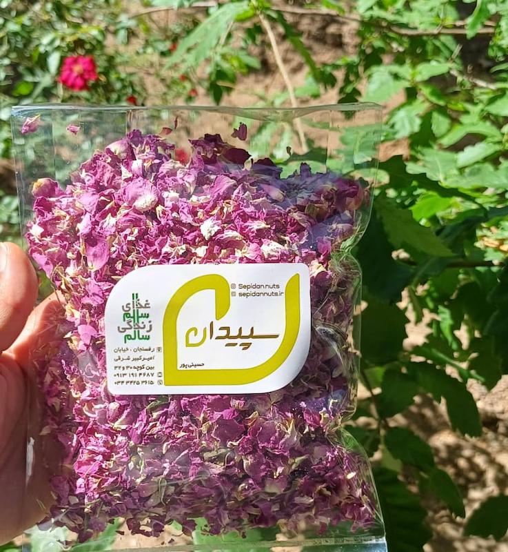 پر گل محمدی سپیدان (لاله زار)(rose)/Rose Petals