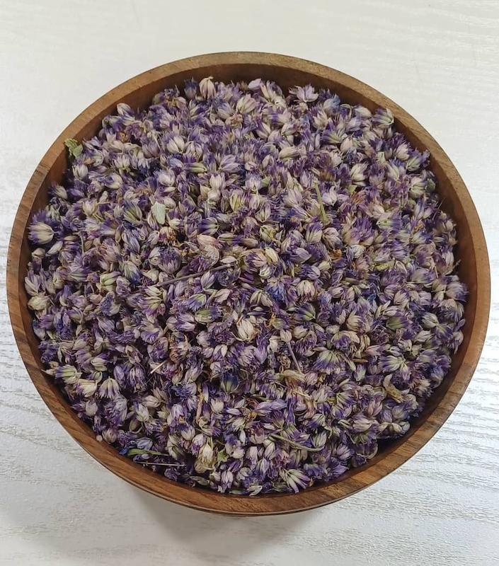 شکوفه بادرنجبویه