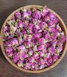 غنچه گل محمدی لاله زار /Lalehzar Damask Rose Buds