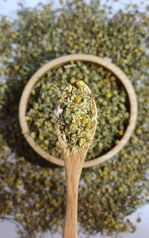 گل بابونه شیرازی/shirazi chamomile flower