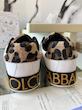 Dolce & gabbana sneakers 