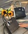 Coach minimal bag