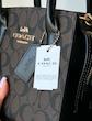 Mini coach bag
