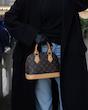Louis vuitton BB alma
