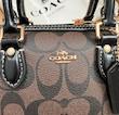 Mini coach bag