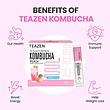 نوشیدنی کمبوچا TEAZEN 