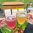 نوشیدنی کمبوچا TEAZEN 