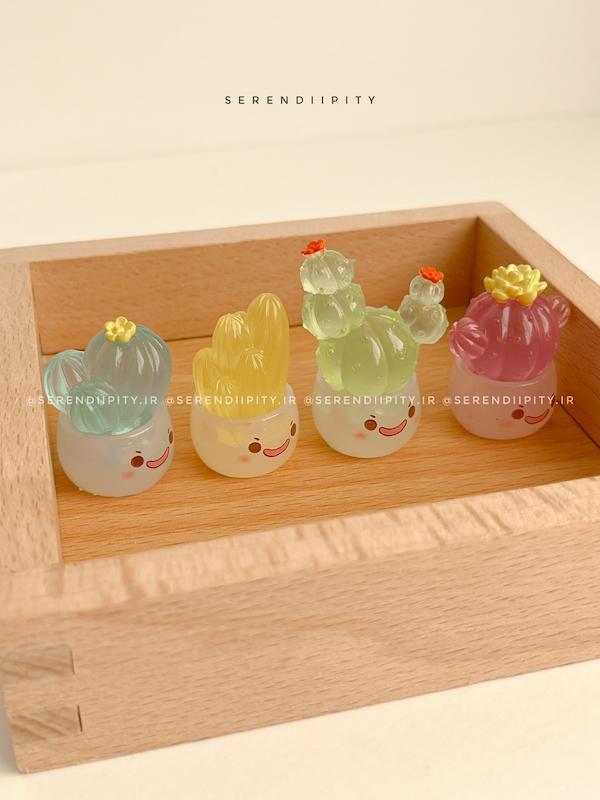 شب تاب کاکتوس