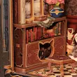 بوک نوک طرح cats study