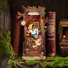 بوک نوک آلیس در سرزمین عجیایب برند روبوتایم-Rolife DIY Book Nook - Fall into Wonder TGB12