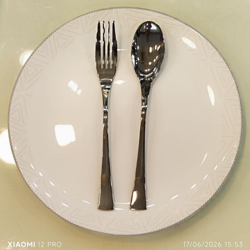 قاشق و چنگال 102 پارچه داماک آلمان