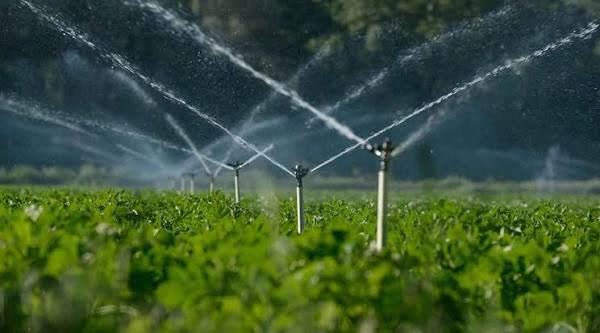 slide-image-undefined