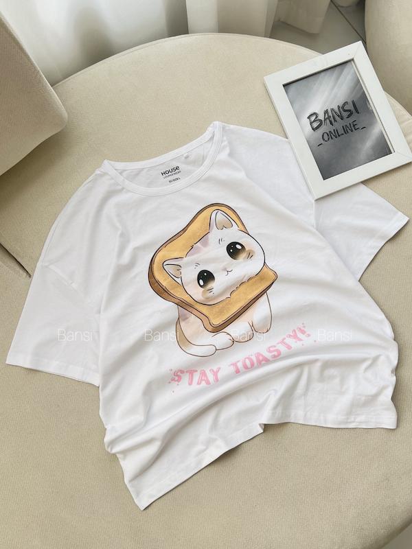 پیشی لای تست🐈