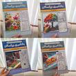 دفتر رنگ آمیزی بزرگسال