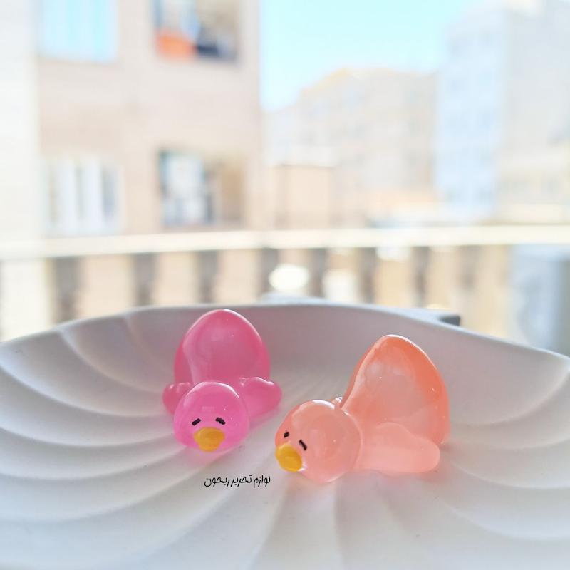فیگور شب نما اردک خسته