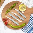 چاقو مادام کوکو مدل Nancy 4-Piece Knife Set مجموعه 4 عددی