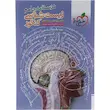  درسنامه زیست شناسی جامع خیلی سبز