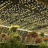 ریسه سوزنی ال ای دی 50 و 100 متری شهاب