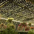 ریسه سوزنی ال ای دی 50 و 100 متری شهاب