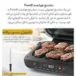 توضیحات عملکرد پراب هوشمند (Foodi Smart Probe) در گریل نینجا مدل AG551 برای کنترل مداوم دمای داخلی غذا.