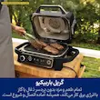 گریل کردن استیک‌ها با طعم واقعی باربیکیو توسط گریل نینجا مدل OG701.