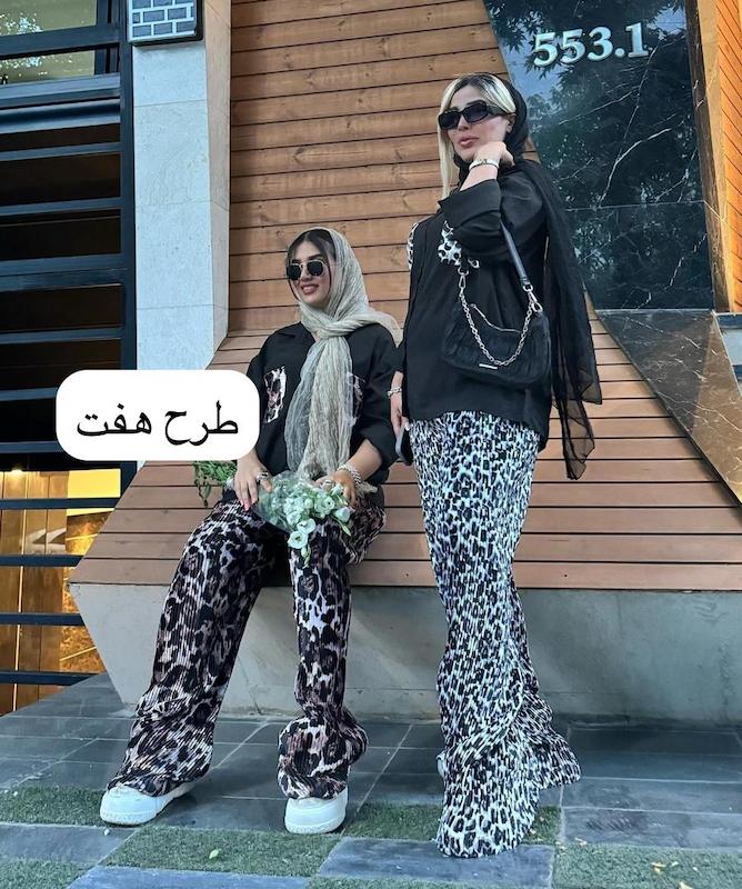 ست پلیسه پلنگی کد ۳۴۳