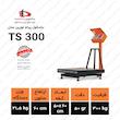 باسکول 300کیلویی پیام توزین مدل ts300