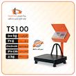 باسکول پیام توزین 100کیلوگرمی مدلTS100