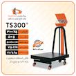 باسکول 300کیلویی پیام توزین مدل ts300+