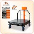 باسکول 1تنی پیام توزین مدل  ts1000